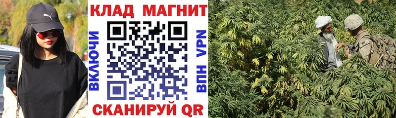  Cocaine Белоозёрский